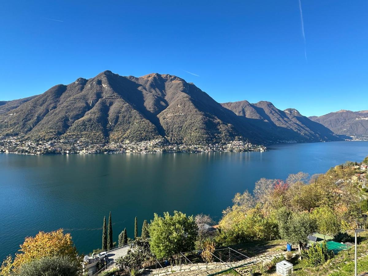La Casa Del Mastro - Como Lake Pognana Lario Buitenkant foto